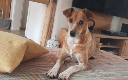 Zarte Seele Chara sucht Menschen mit großem Herzen