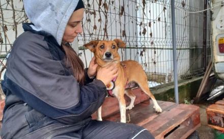 Zarte Seele Chara sucht Menschen mit großem Herzen