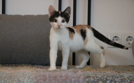 Zarina & Hoody: Ein Herz und eine Seele suche ihr gemeinsames Glück.