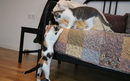 Zarina & Hoody: Ein Herz und eine Seele suche ihr gemeinsames Glück.