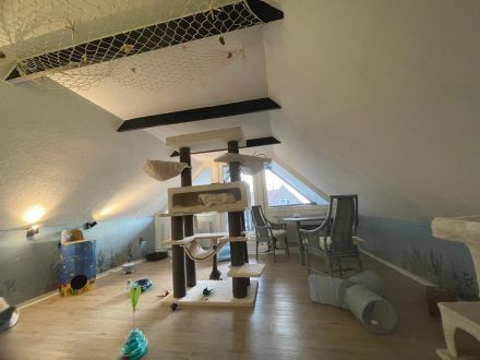 Samtpfoten Residenz- Katzenpension