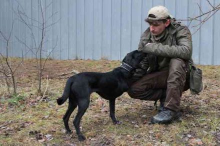 Fortuna, Labrador-Jagdhundmix, geb. 2022, aktives Dreibein, nur als Zweithund zu vermitteln