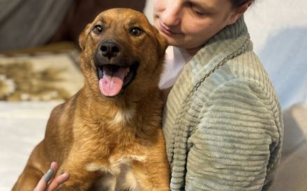 Superheldin Evi sucht eine liebevolle Familie