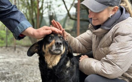Ruhige und schüchterne Seele Dakota
