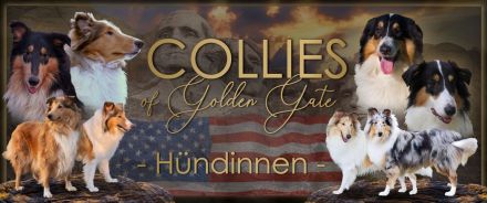 Of Golden Gate