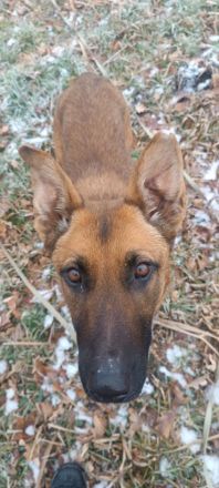 Kate wünscht sich endlich ein zu Hause ....