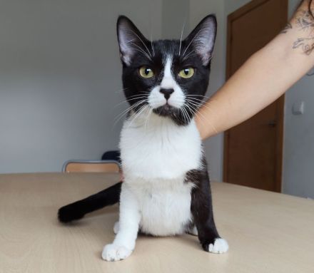 Die Schwestern Magui und Mota suchen ein liebevolles Zuhause