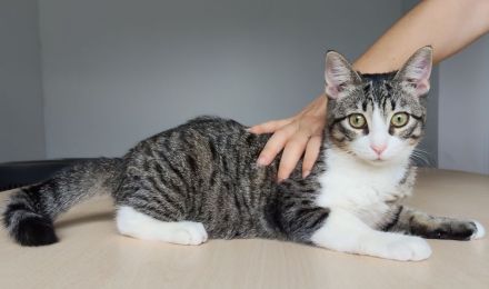 Die Schwestern Magui und Mota suchen ein liebevolles Zuhause