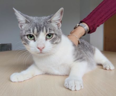 Der süße Mateo sehnt sich sehr nach Menschen, die Zeit für ihn haben