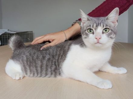 Der süße Mateo sehnt sich sehr nach Menschen, die Zeit für ihn haben