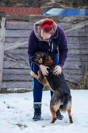 Amira, eine verschmuste Hündin sucht ein Zuhause