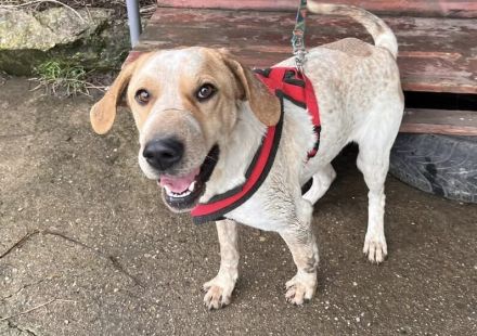 Ruhige und aufmerksame Florine