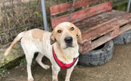 Ruhige und aufmerksame Florine