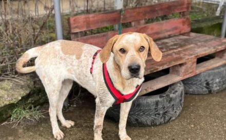 Ruhige und aufmerksame Florine