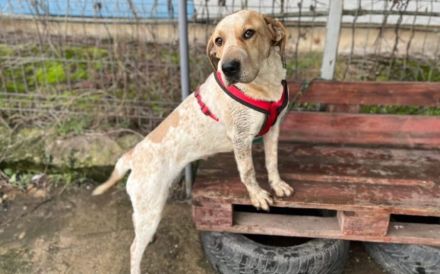 Ruhige und aufmerksame Florine