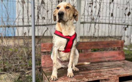 Ruhige und aufmerksame Florine