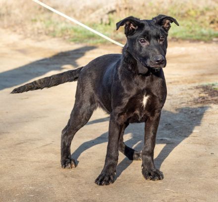 Filip, junger Möchtegern spielt für sein Leben gern
