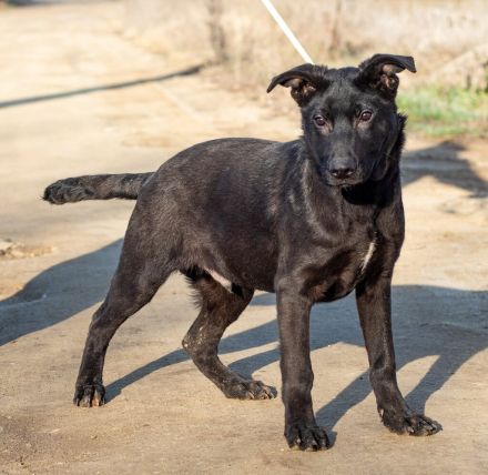 Filip, junger Möchtegern spielt für sein Leben gern