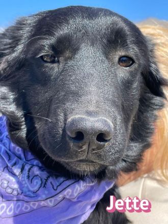 Jette und Juna, 10/25 - süßes Geschwisterpaar sucht seine Familien