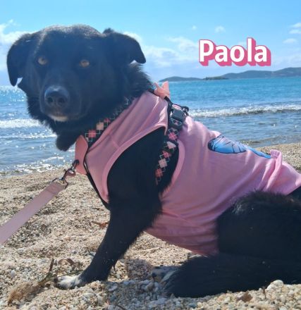 Paola, 08/23 - kleiner Sonnenschein sucht Familie