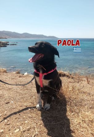 Paola, 08/23 - kleiner Sonnenschein sucht Familie