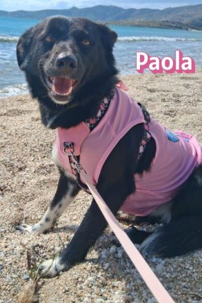 Paola, 08/23 - kleiner Sonnenschein sucht Familie