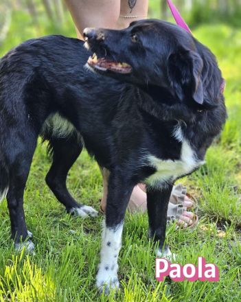 Paola, 08/23 - kleiner Sonnenschein sucht Familie