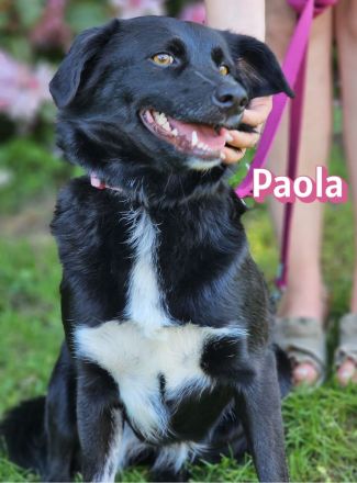 Paola, 08/23 - kleiner Sonnenschein sucht Familie
