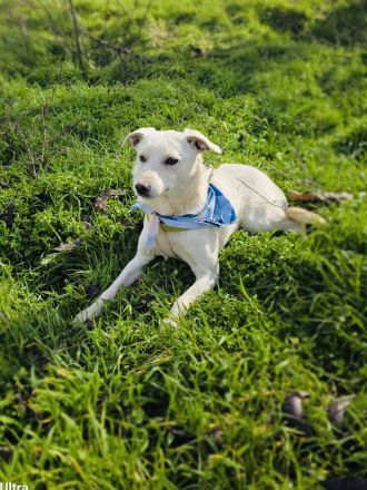 Pami ein zauberhaftes Mädchen