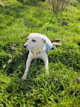 Pami ein zauberhaftes Mädchen