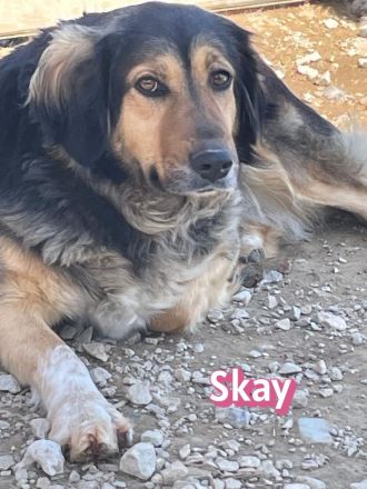 Skay, 08/24 - aktives Mädel sucht aktive Menschen