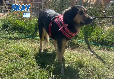 Skay, 08/24 - aktives Mädel sucht aktive Menschen