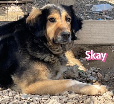 Skay, 08/24 - aktives Mädel sucht aktive Menschen