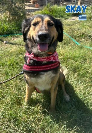 Skay, 08/24 - aktives Mädel sucht aktive Menschen