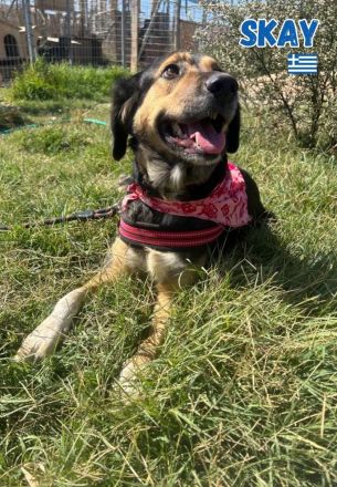 Skay, 08/24 - aktives Mädel sucht aktive Menschen