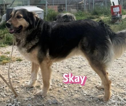 Skay, 08/24 - aktives Mädel sucht aktive Menschen