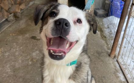 Wunderschöne Sunny wartet auf ihr Glück