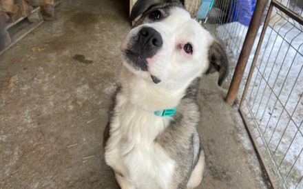 Wunderschöne Sunny wartet auf ihr Glück