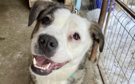 Wunderschöne Sunny wartet auf ihr Glück
