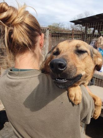 Maleika, fröhliche Hündin sucht Menschen, die ihr Stabilität und Aktivität bieten, 2J, 50cm