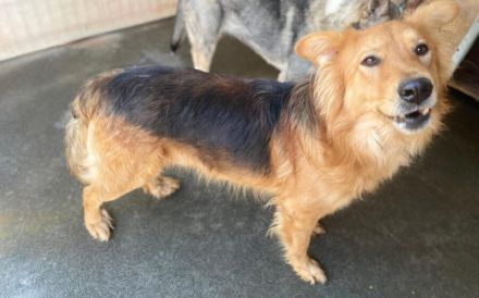 Ace: Gemeinsam die Welt entdecken - Schritt für Schritt