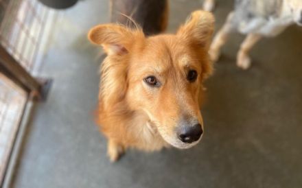 Ace: Gemeinsam die Welt entdecken - Schritt für Schritt