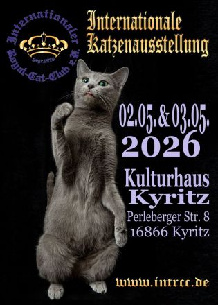 Internationale Katzenausstellung