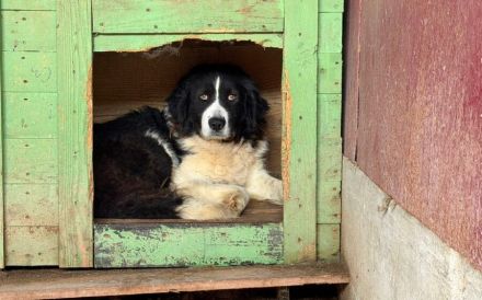 Vorsichtige und ruhige Lulu: Vertrauen ist der Schlüssel
