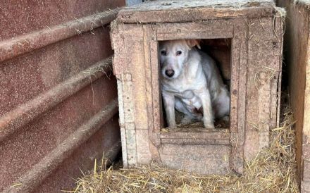Stille Augen, die nach Frieden suchen: Cathy braucht ein Wunder