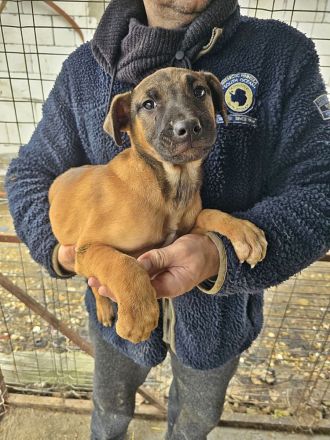 Lotti, Lulu, Wendy und Paul suchen ihr Glück