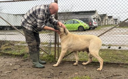 Ronja: Für Menschen mit Geduld, Ruhe und ganz viel Herz.