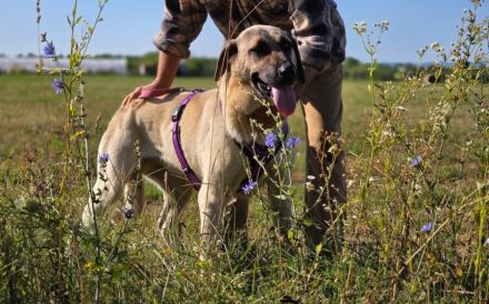 Ronja: Für Menschen mit Geduld, Ruhe und ganz viel Herz.