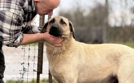 Ronja: Für Menschen mit Geduld, Ruhe und ganz viel Herz.