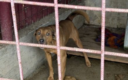 Pamella - verunsicherte Seele sucht Sicherheit und Liebe